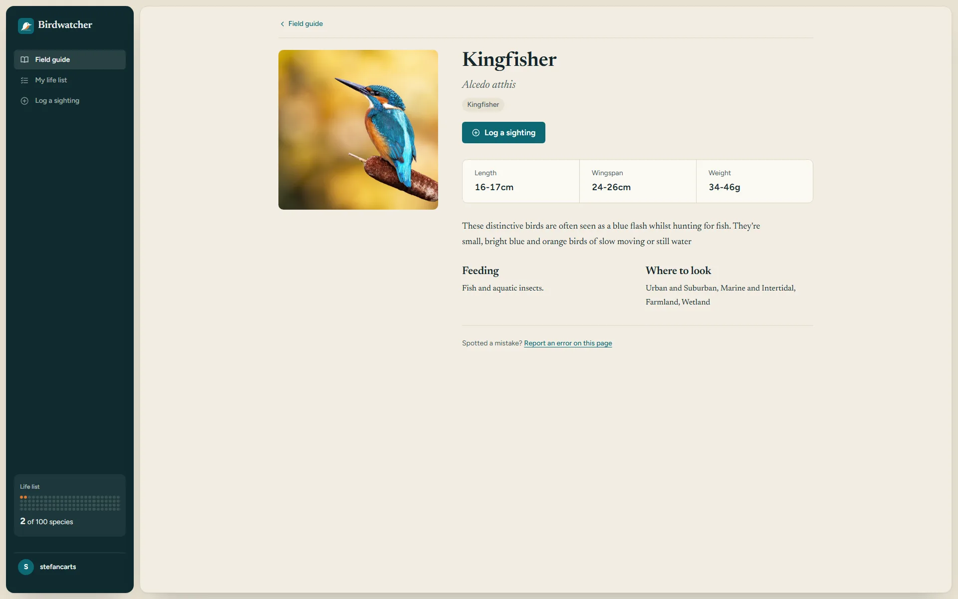 Kingfisher species page: a large photograph beside the name and Alcedo atthis, a Log a sighting button, length, wingspan and weight figures, a short description, and Feeding and Where to look sections