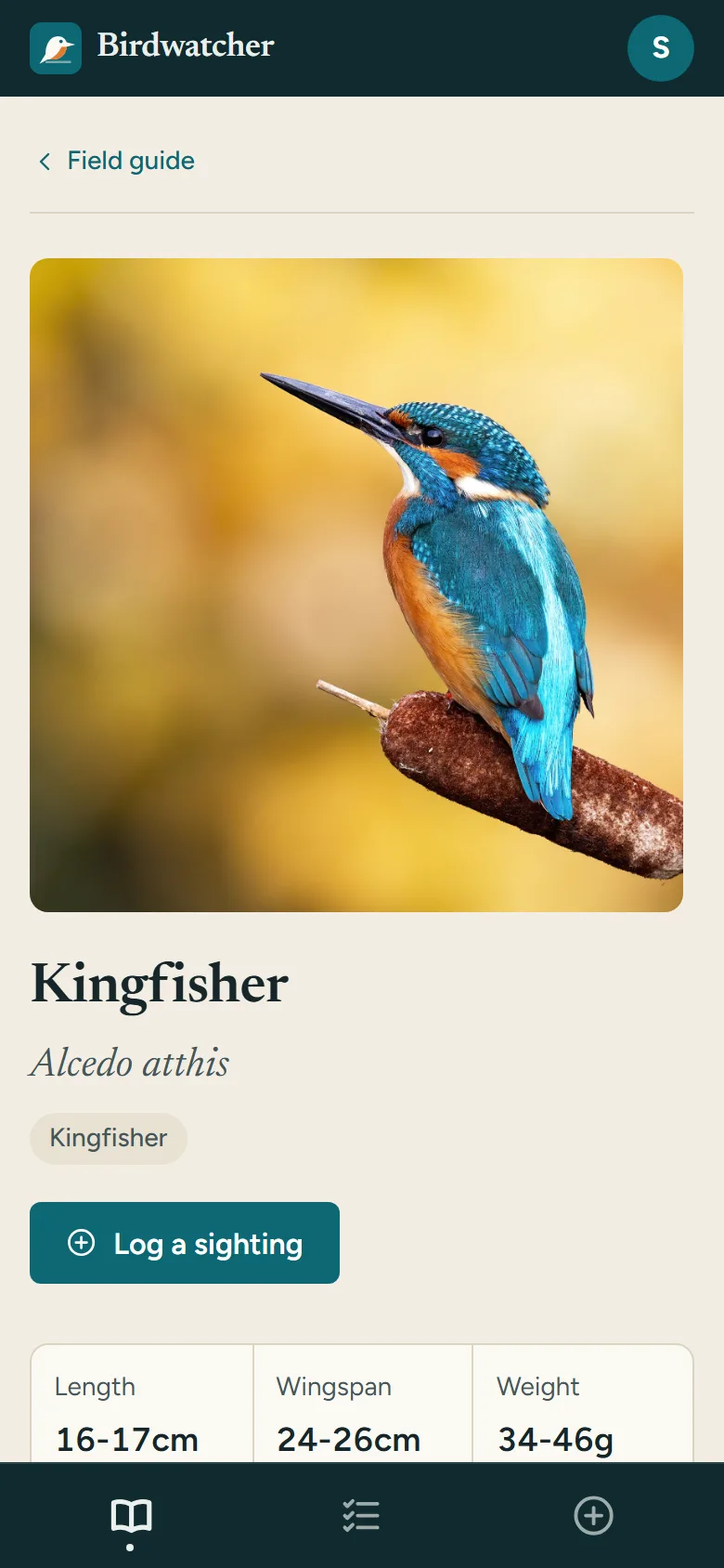 Mobile Kingfisher page with a large photograph, the name and scientific name, a Log a sighting button and the first of the size figures, above a bottom tab bar